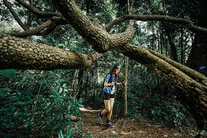 BIB: 
                            <button type="button" onclick="openModal(25705808)" class="btn btn-primary btn-sm float-right btn-popup" data-toggle="modal" data-target=".modal-high-quality">
                        <i class="fas fa-shopping-cart"></i> Add to Cart
                    </button>
                                            <button type="button" onclick="isThisMe(25705808, true)" class="btn btn-success btn-sm float-right btn-popup btn-isme hidden" data-toggle="tooltip" data-placement="bottom" title="นี่คือรูปของคุณใช่ไหม คลิกที่นี่เพื่อเอาเข้าอัลบั้ม">
                        <i class="fas fa-plus"></i> Add to album
                    </button>
                    <button type="button" onclick="isThisMe(25705808, false)" class="btn btn-warning btn-sm float-right btn-popup btn-isnotme hidden">
                        <i class="fas fa-ban"></i> Remove from album
                    </button>